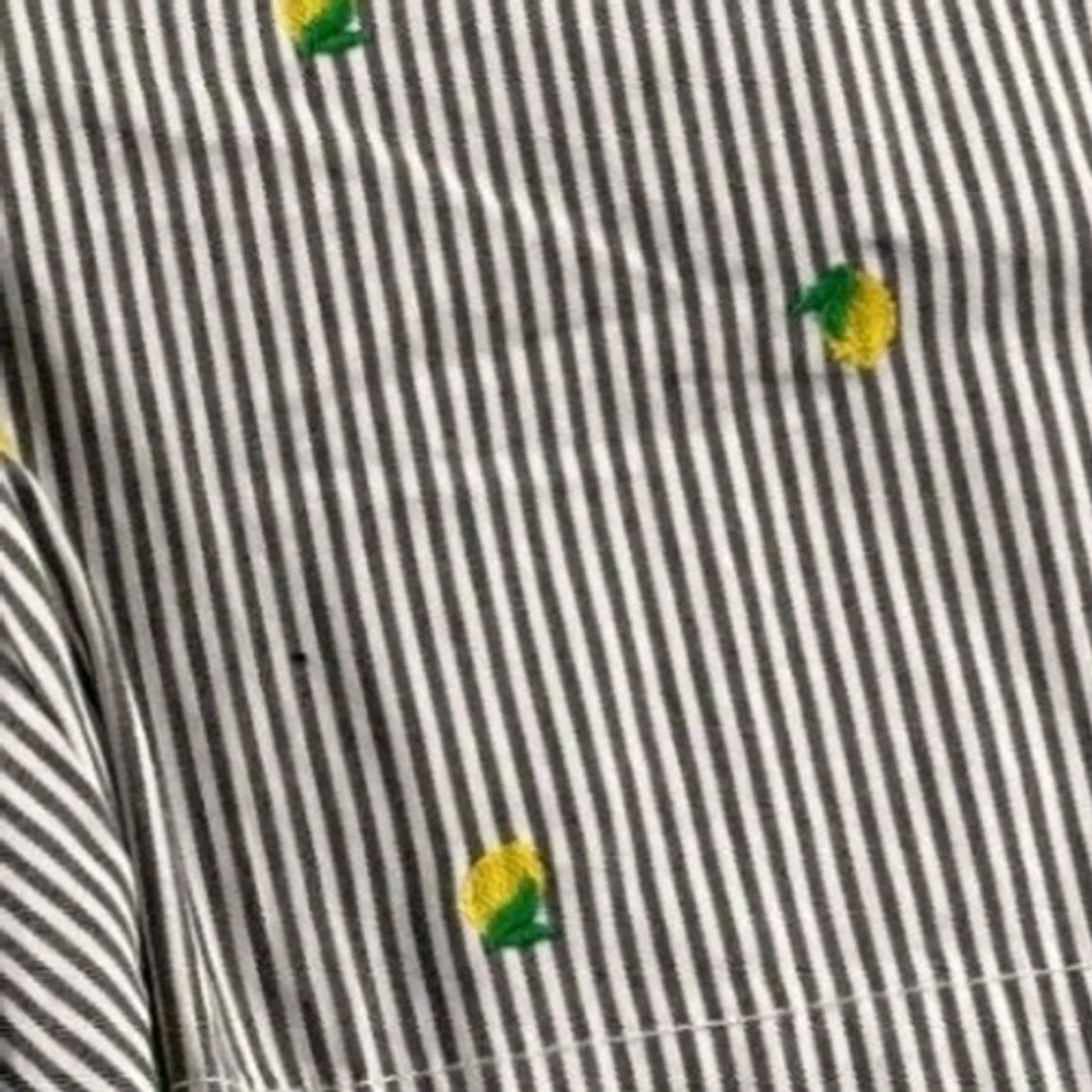 Crown & Ivy Women Size 14 Striped Lemon Embroidered Preppy Coastal Summer Shorts